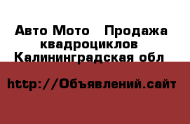 Авто Мото - Продажа квадроциклов. Калининградская обл.